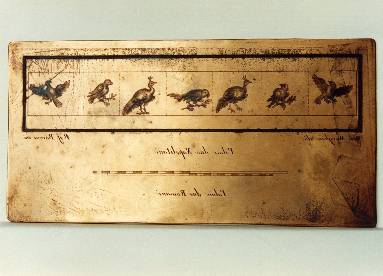 motivi decorativi con uccelli (matrice) di Morghen Giovanni Elia, Barone Raffaele (sec. XVIII)