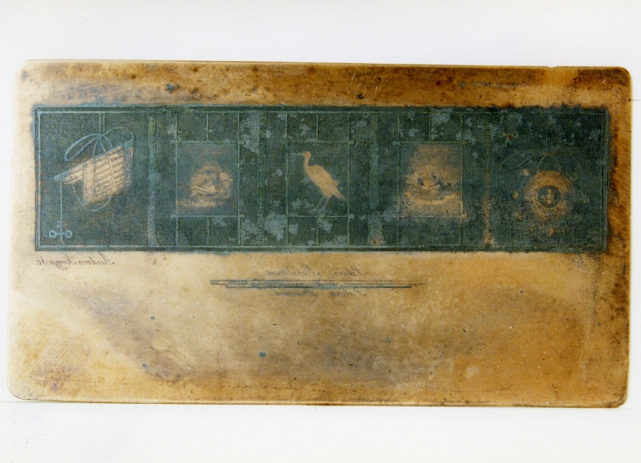 pannello a riquadri con uccelli e simboli bacchici (matrice) di Frezza Isidoro, Morghen Giovanni Elia (sec. XVIII)