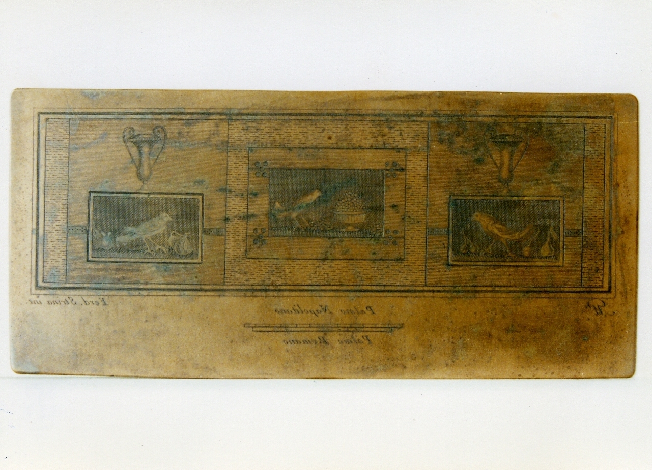 tre riquadri con uccello e frutta (matrice) di Morghen Giovanni Elia, Strina Ferdinando (sec. XVIII)