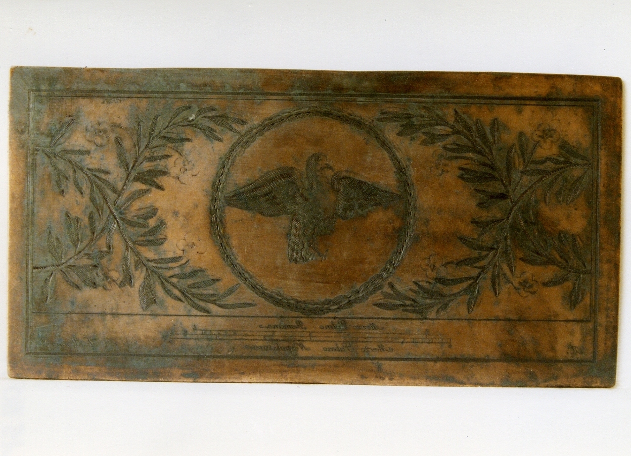 motivo decorativo: rapace entro medaglione e rami d'olivo ai lati (matrice) di Campana Vincenzo, Alvarez Thomas (sec. XVIII)