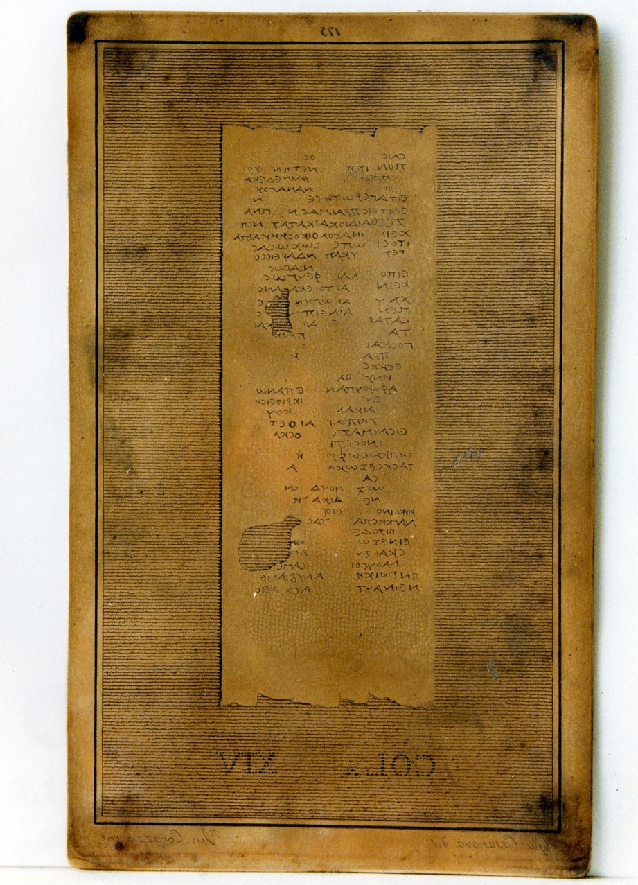 testo greco: col. XIV (matrice) di Casanova Giuseppe, Corazza Vincenzo (sec. XIX)