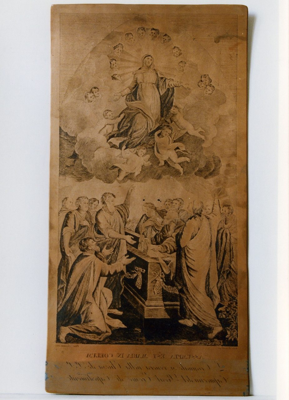 Assunzione di Maria Vergine (matrice) di Scarpati Vincenzo, Vivaldi Giuseppe (sec. XIX)