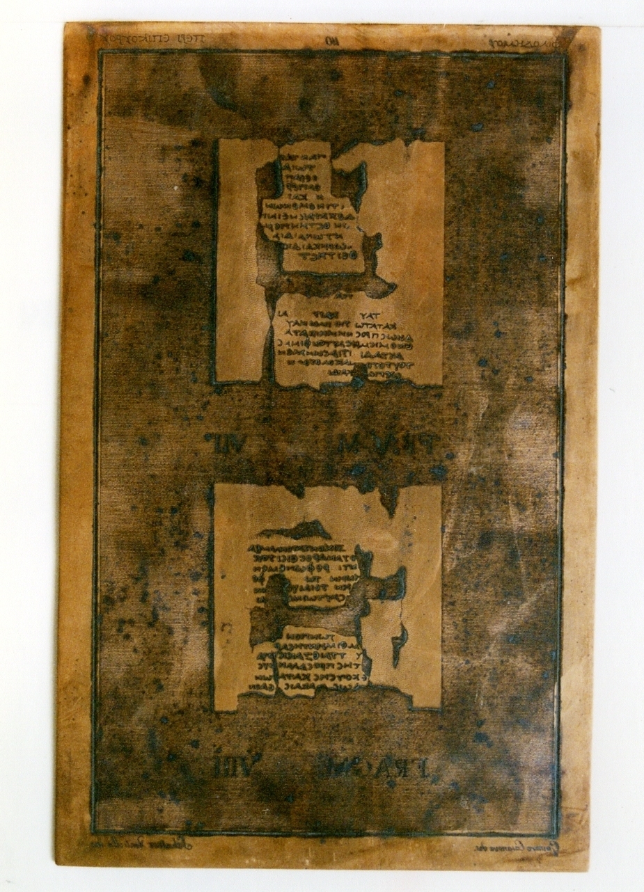 testo greco da Filodemo «su Epicuro»: fragm. VII, fragm. VIII. (matrice) di Ventrella Salvatore, Casanova Gennaro (sec. XIX)