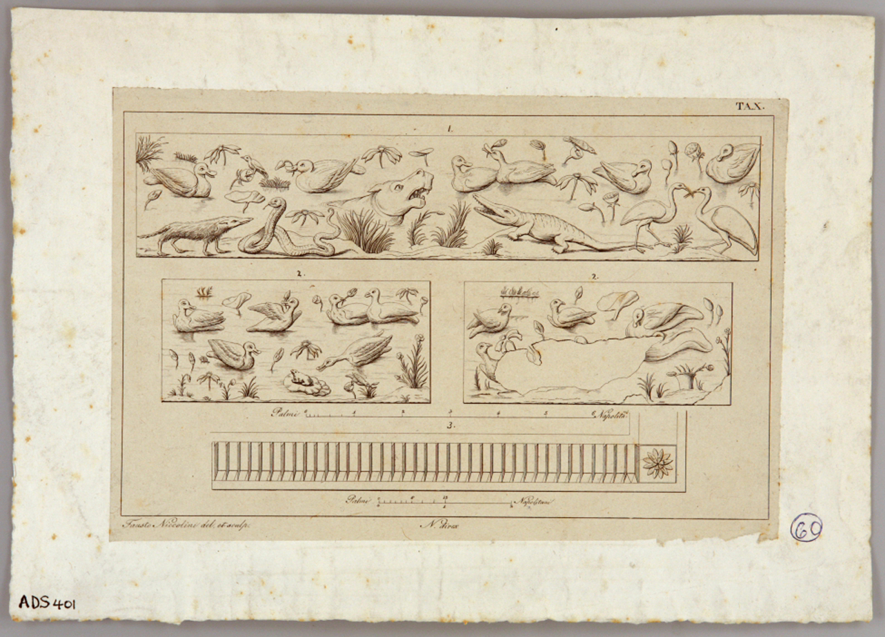 scene nilotiche (stampa) di Niccolini Fausto (sec. XIX)