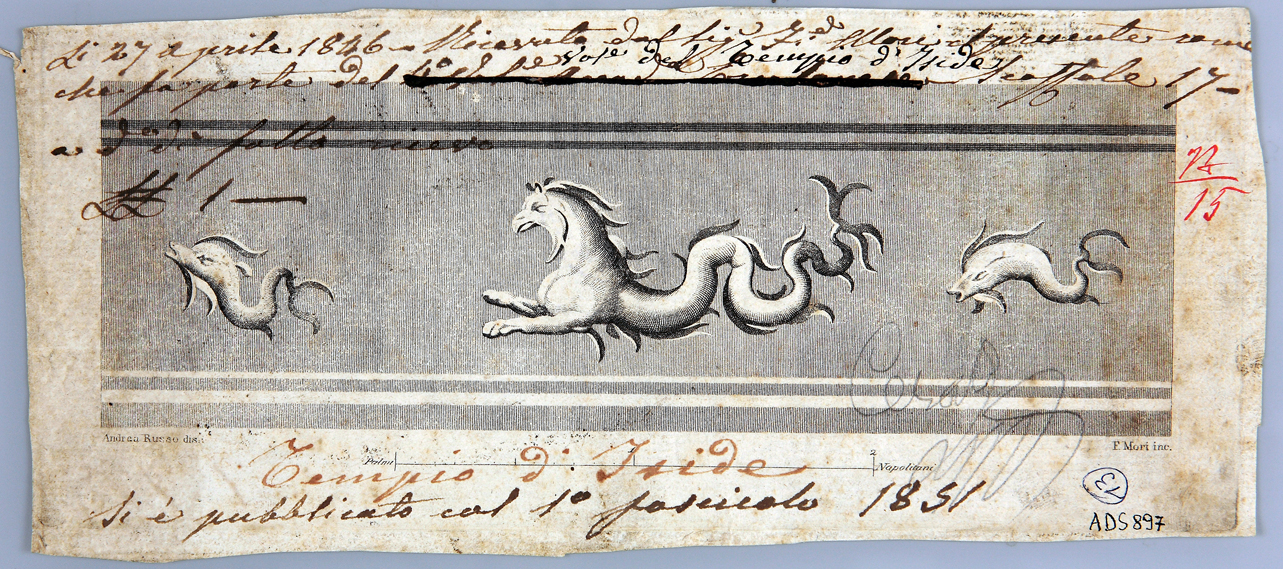 grifo e delfini (incisione) di Russo Andrea, Mori Ferdinando (ultimo quarto sec. XVIII)