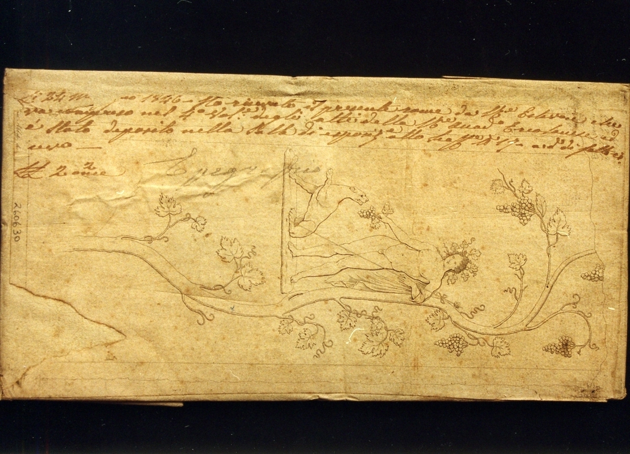 tralcio di vite con Dioniso giovinetto e pantera (stampa controfondata smarginata) di Mori Ferdinando (sec. XIX)