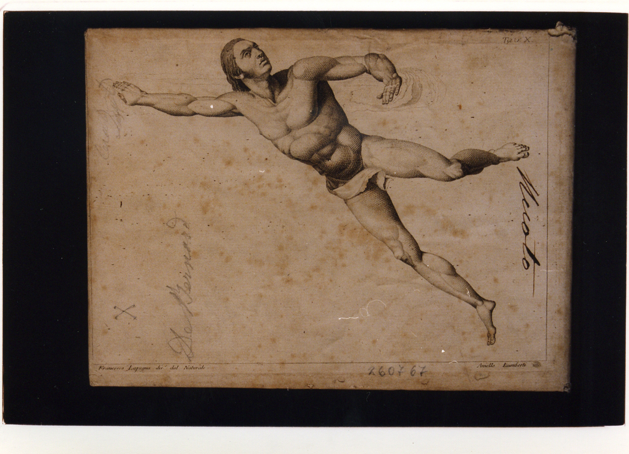 nuotatore (stampa controfondata) di La Pegna Francesco Antonio, Lamberti Aniello (fine sec. XVIII)