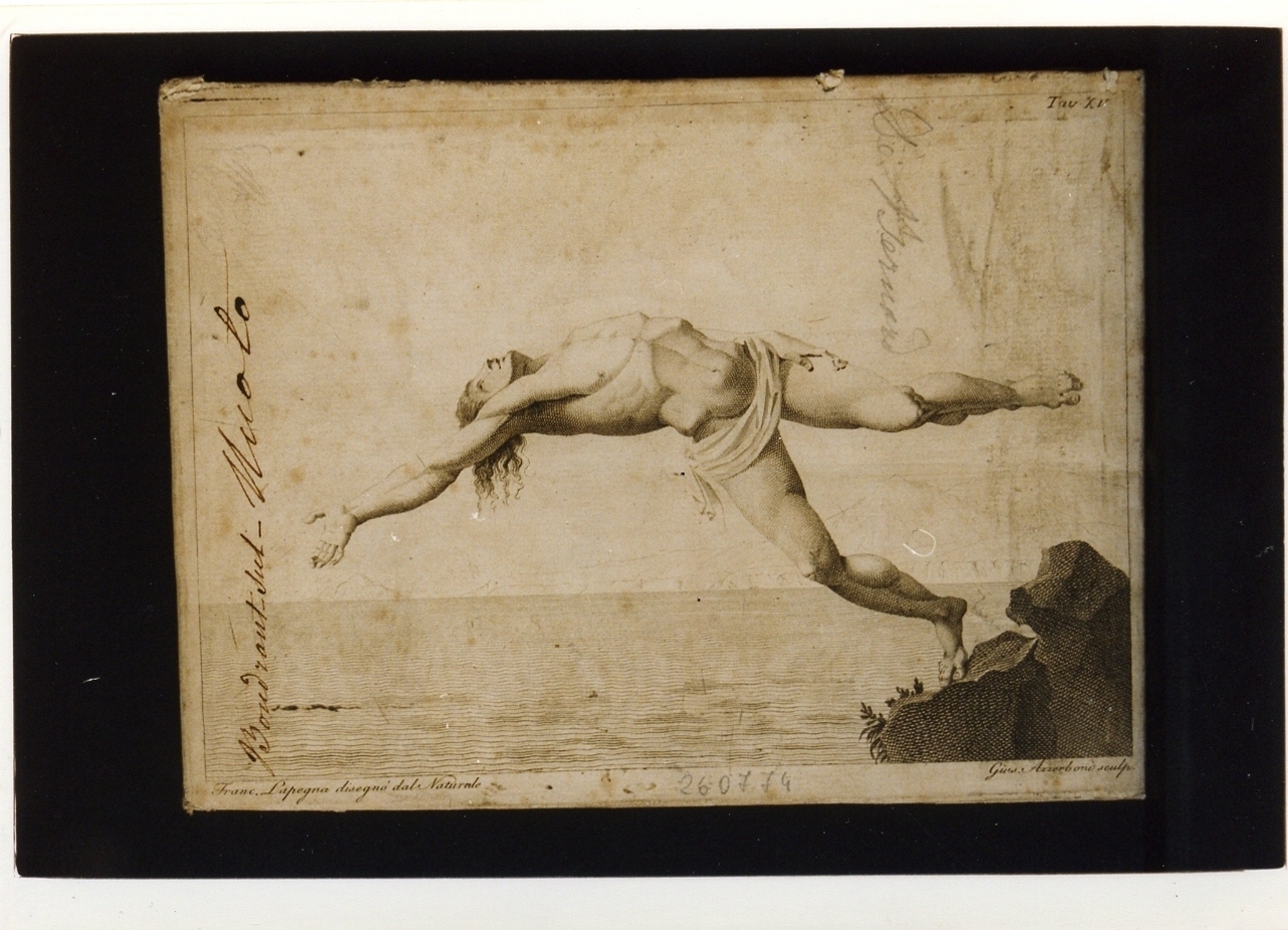 nuotatore (stampa controfondata) di Azzerboni Giuseppe, La Pegna Francesco Antonio (sec. XVIII)