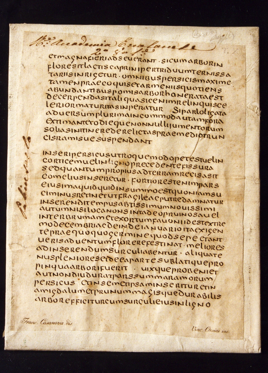 testo latino: codice (stampa controfondata smarginata) di Orsini Vincenzo, Casanova Francesco (sec. XIX)