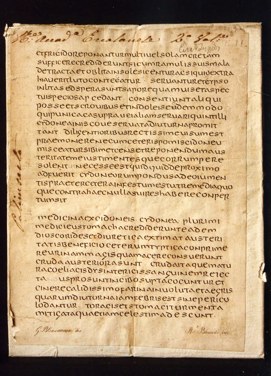 testo latino: codice (stampa controfondata smarginata) di Casanova Giovanni Battista, Biondi Raffaele (sec. XIX)