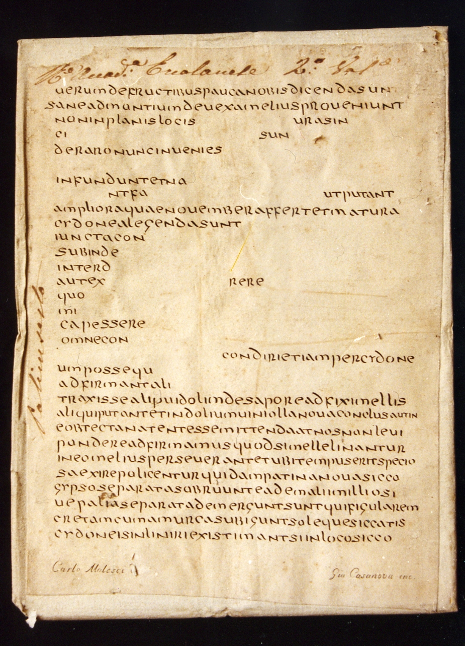 testo latino: codice (stampa controfondata smarginata) di Malesci Carlo, Casanova Giuseppe (sec. XIX)