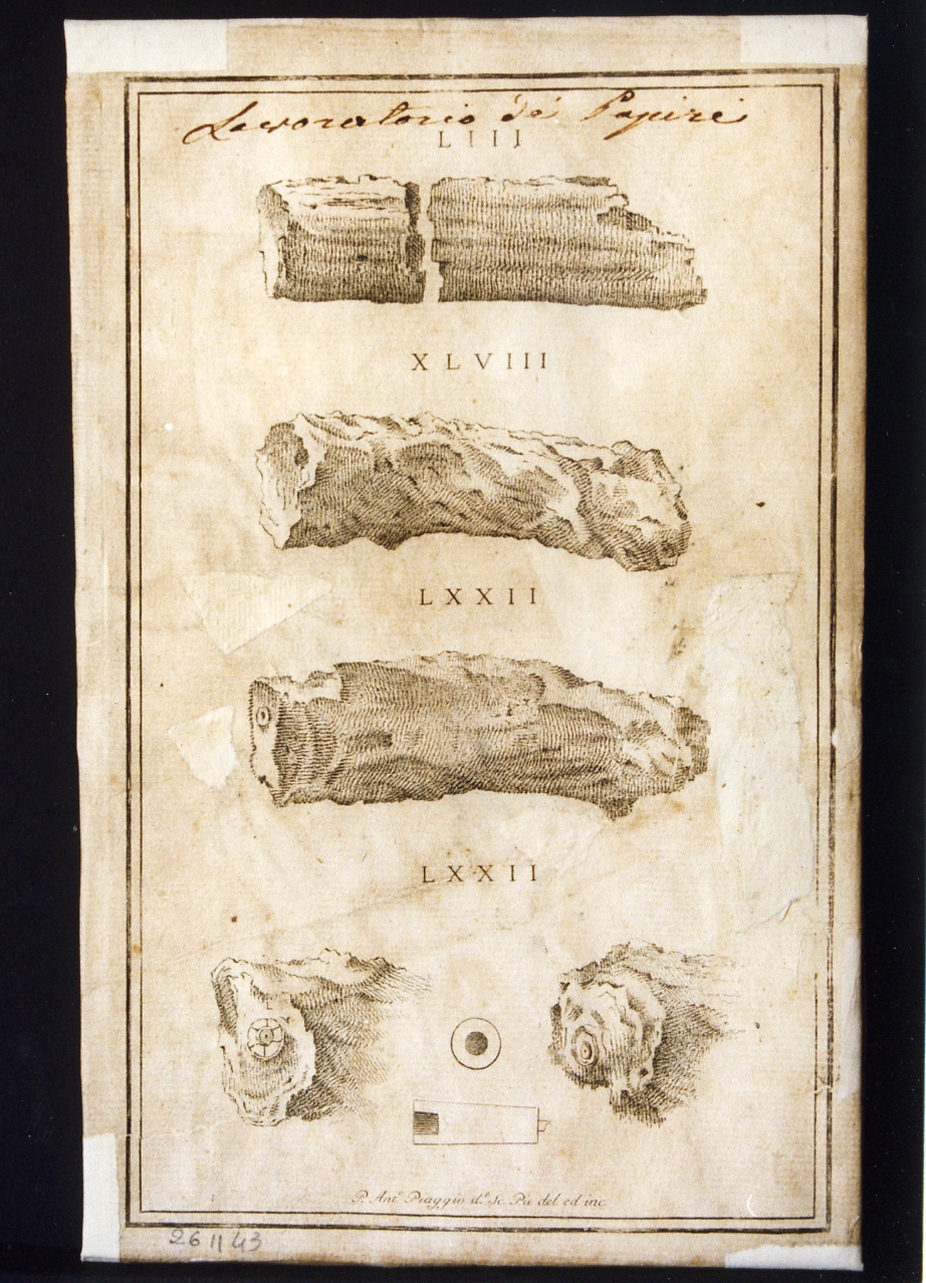riproduzione di rotoli di papiro (stampa) di Piaggio Antonio (sec. XVIII)