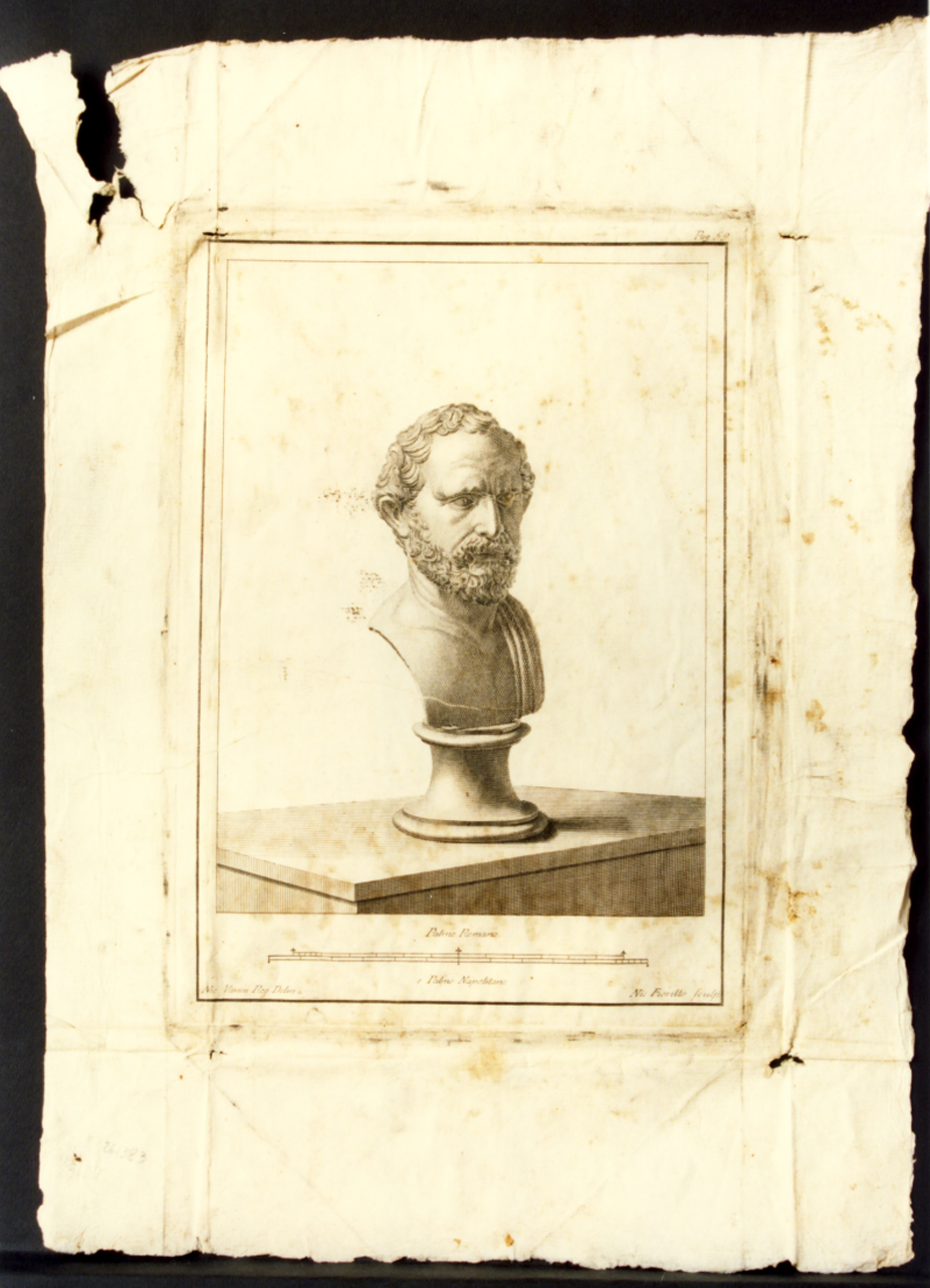 busto virile (stampa) di Fiorillo Nicola (seconda metà sec. XVIII)