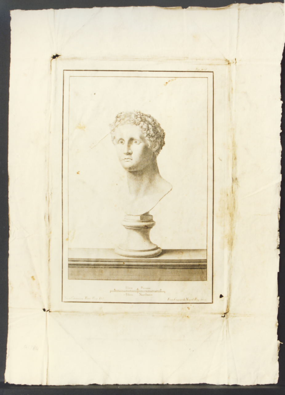 busto virile (stampa) di Cepparoli Francesco, Casanova Giovanni Battista (sec. XVIII)