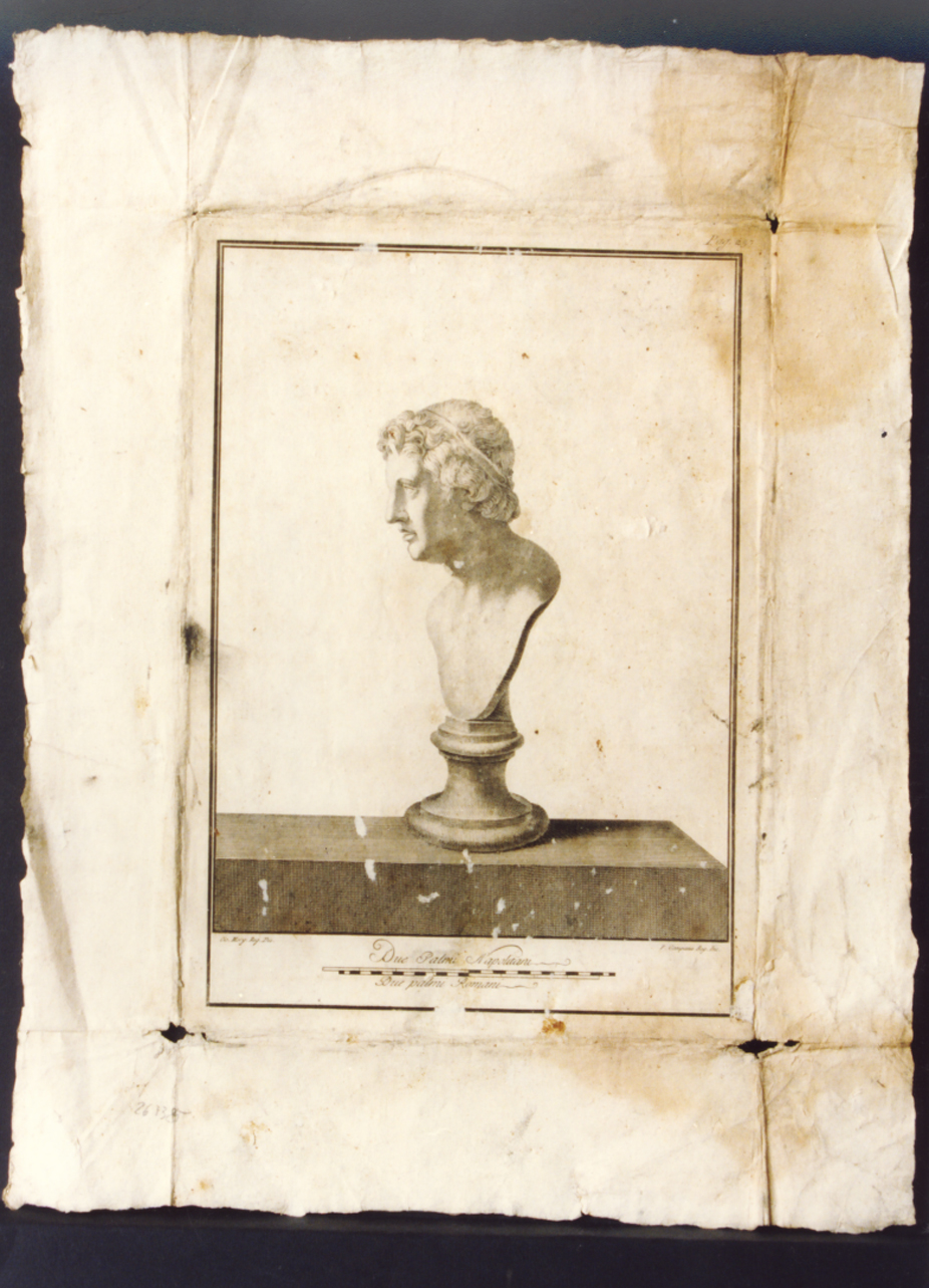 busto virile: profilo (stampa) di Campana Pietro, Morghen Giovanni Elia (sec. XVIII)