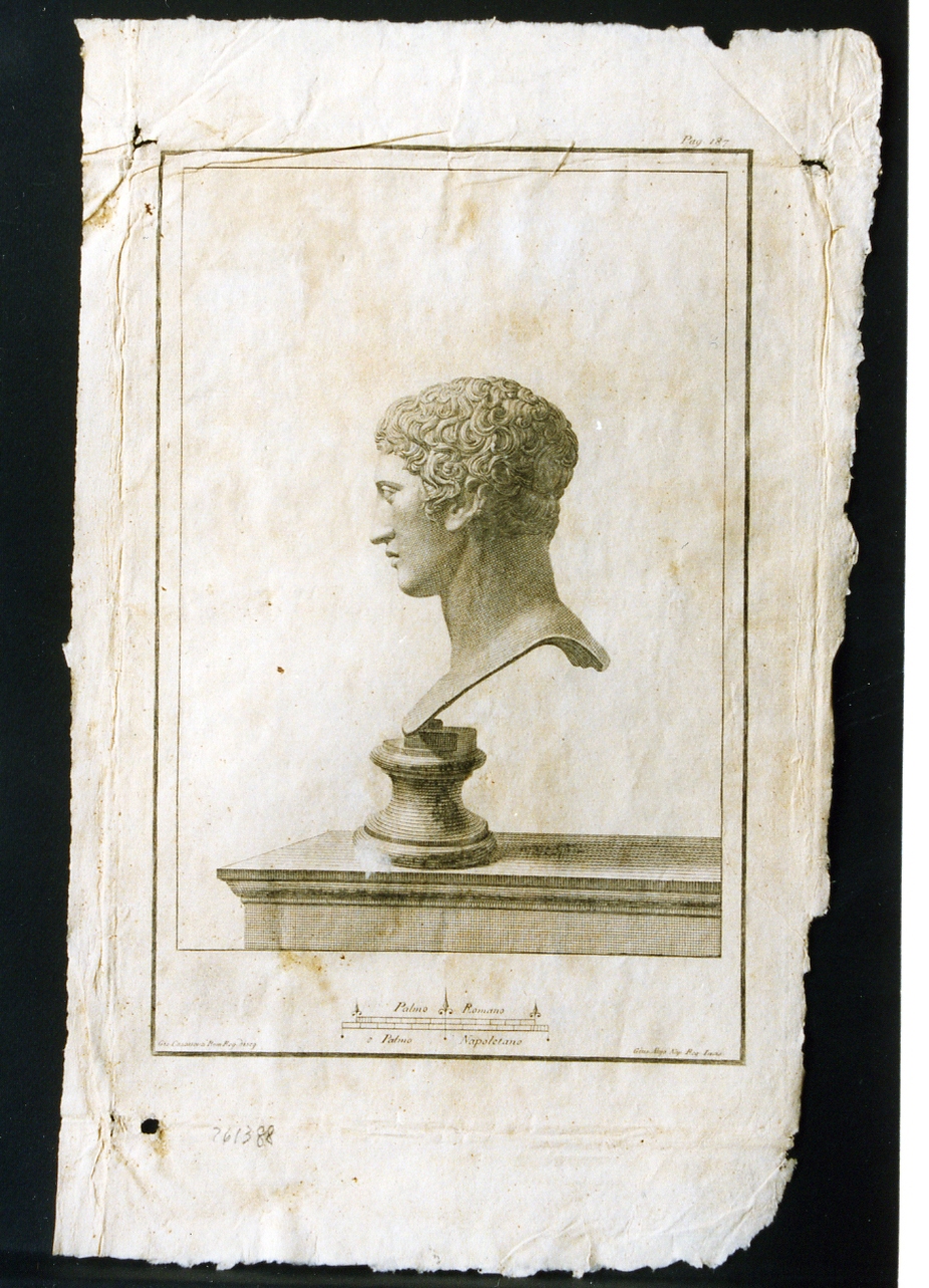 busto virile: profilo (stampa) di Casanova Giovanni Battista, Alloja Giuseppe (sec. XVIII)