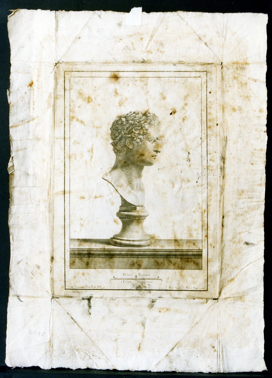 busto virile: profilo (stampa) di Casanova Giovanni Battista, Cepparoli Francesco (sec. XVIII)
