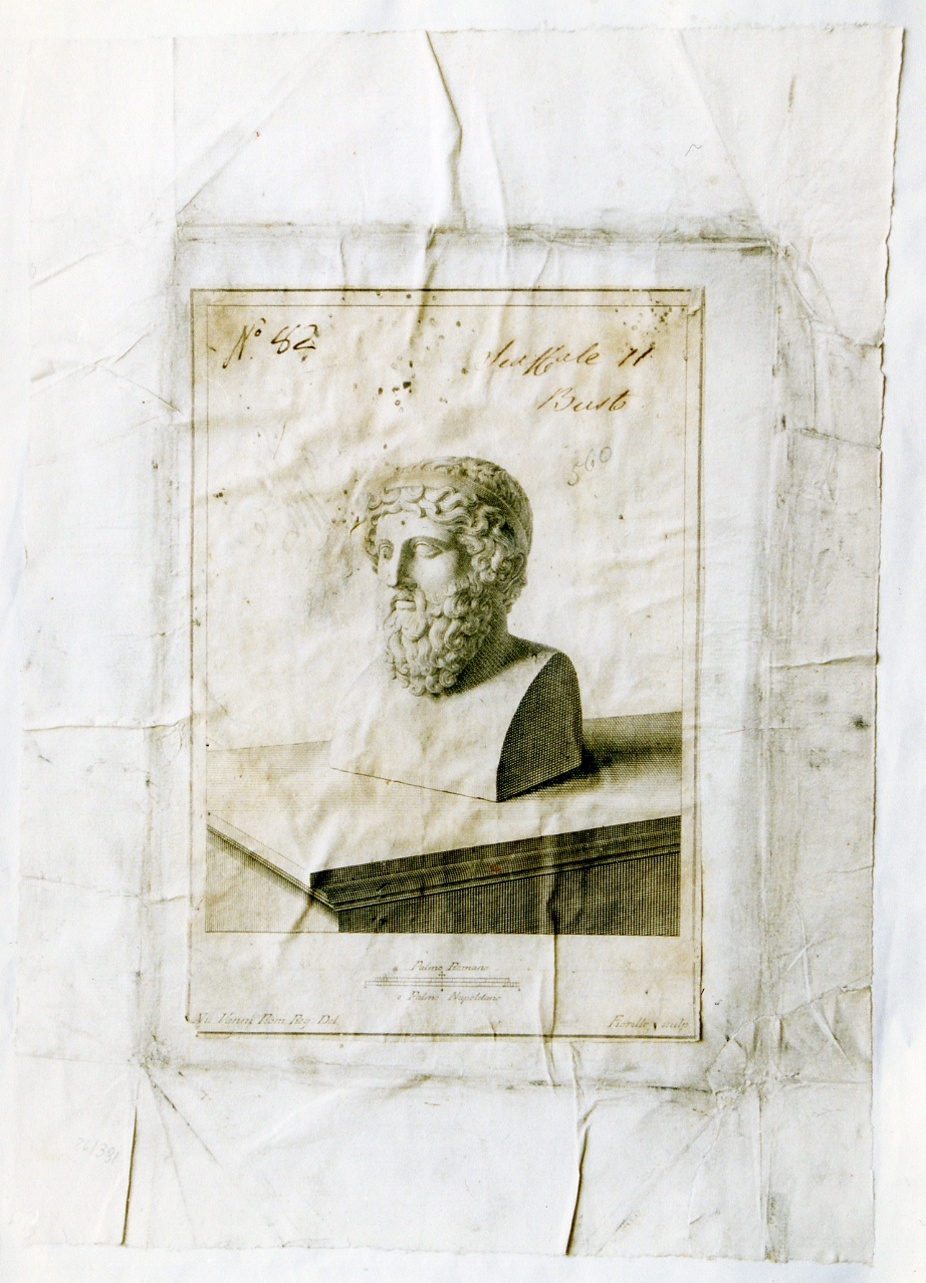 erma virile (stampa controfondata smarginata) di Vanni Nicola, Fiorillo Nicola (sec. XVIII)