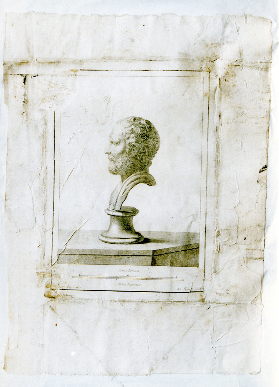 busto virile: profilo (stampa controfondata smarginata) di Vanni Nicola, Fiorillo Nicola (sec. XVIII)