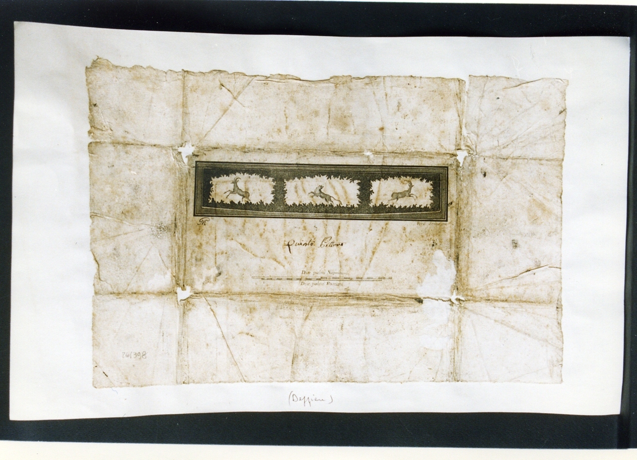 decorazione con cervi e lupo (stampa controfondata) di Morghen Giovanni Elia, Strina Ferdinando (sec. XVIII)