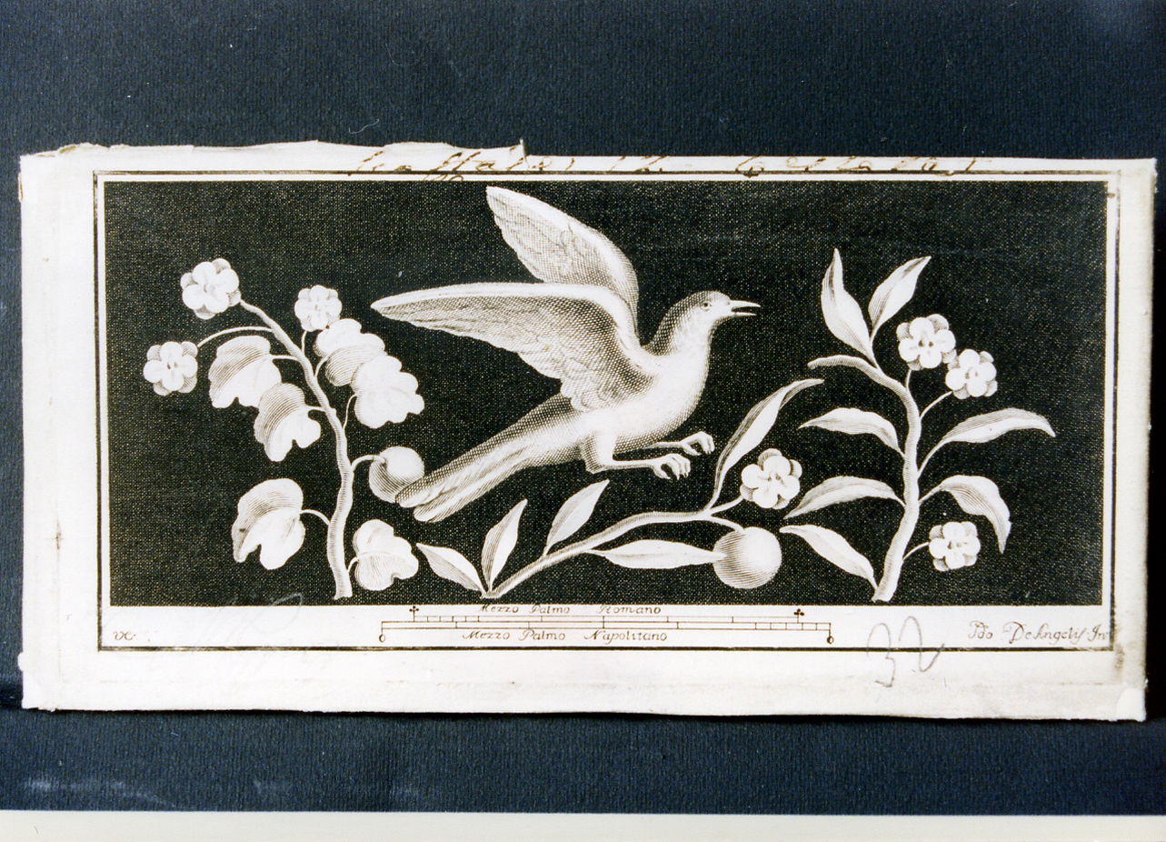 uccelli in volo tra rami fioriti (stampa controfondata) di De Angelis Secondo, Campana Vincenzo (seconda metà sec. XVIII)