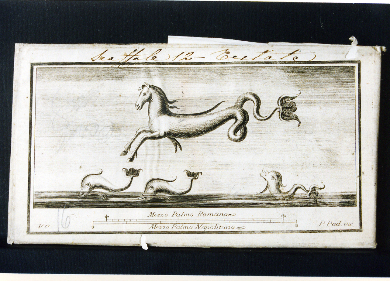 cavallo marino e delfini (stampa controfondata) di Paderni P, Campana Vincenzo (seconda metà sec. XVIII)