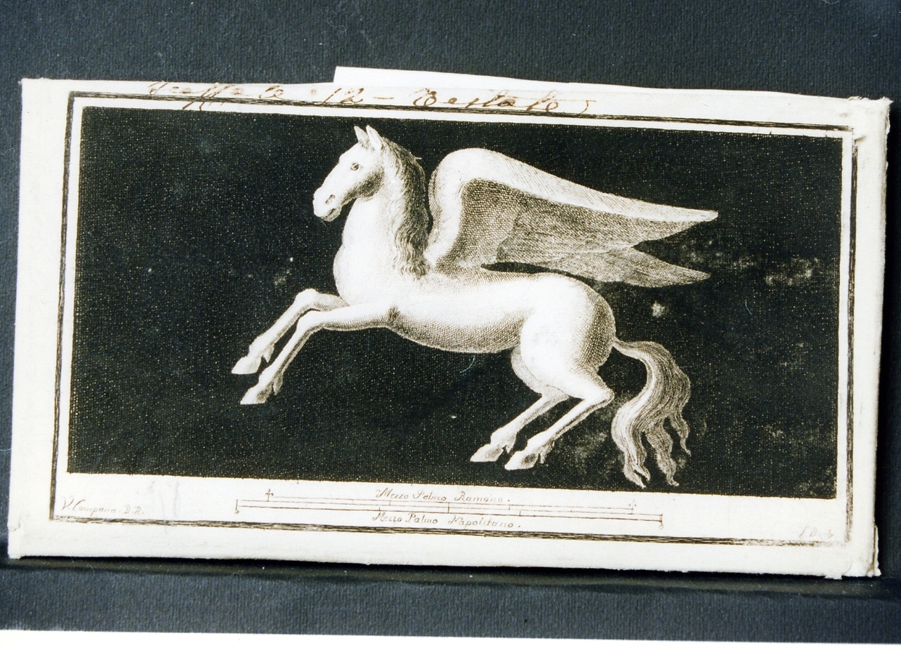 cavallo alato (stampa controfondata) di Boily Luigi, Campana Vincenzo (seconda metà sec. XVIII)