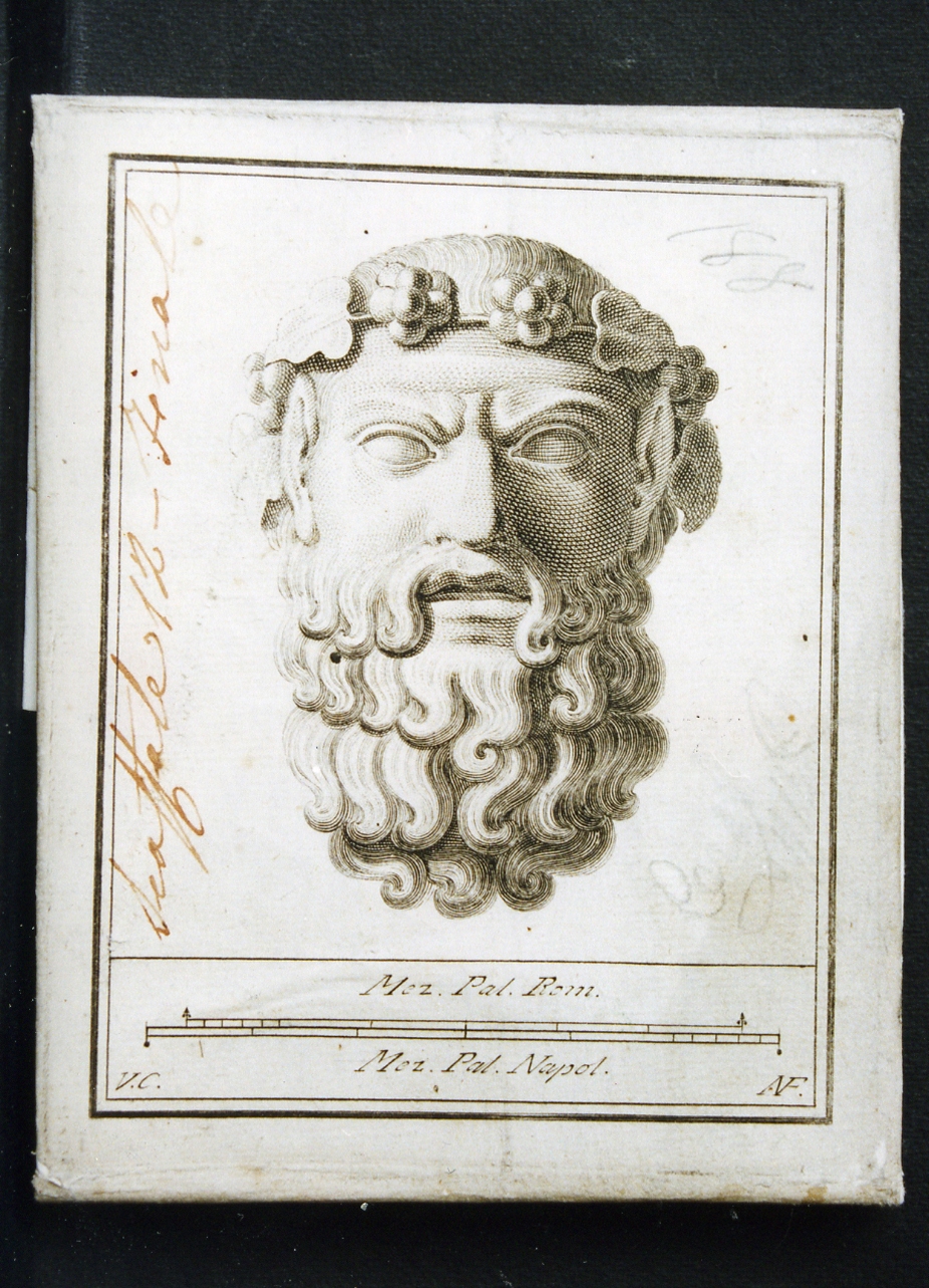 testina di Dioniso (stampa controfondata) di Campana Vincenzo, Fiorillo Nicola (seconda metà sec. XVIII)