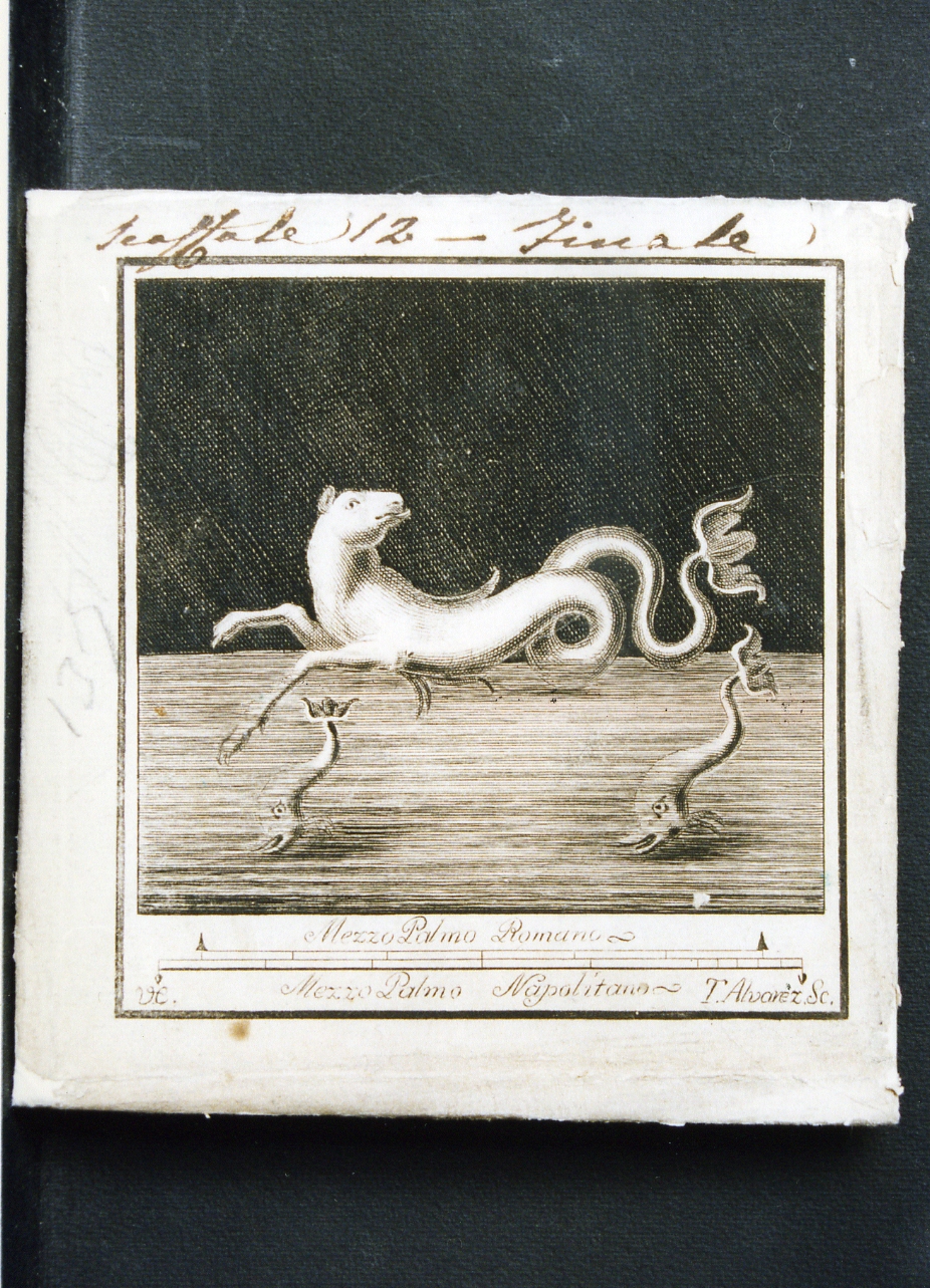 cavallo marino e delfini (stampa controfondata) di Alvarez Thomas, Campana Vincenzo (seconda metà sec. XVIII)