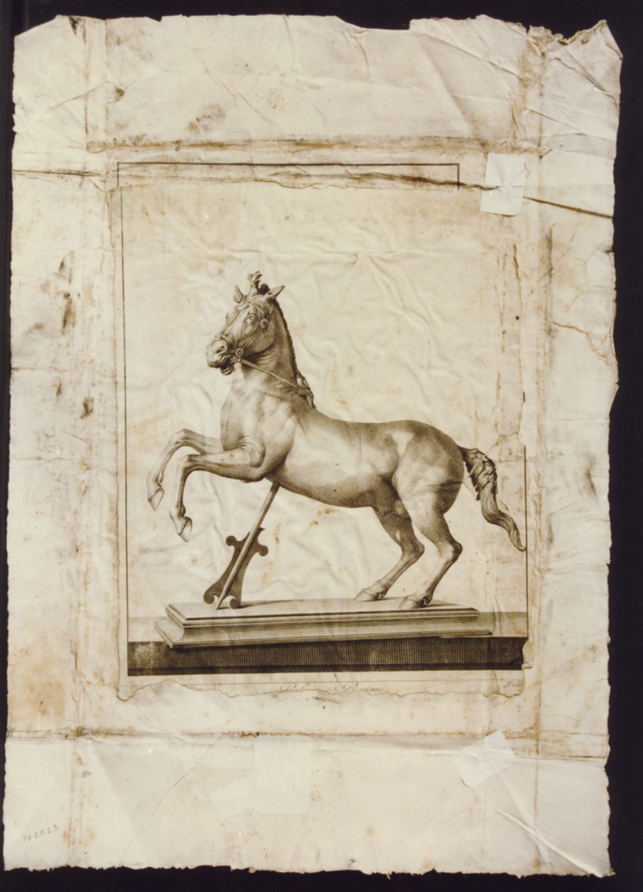 statuetta di cavallo (stampa controfondata smarginata) di Casanova Giovanni Battista, Nolli Carlo (sec. XVIII)