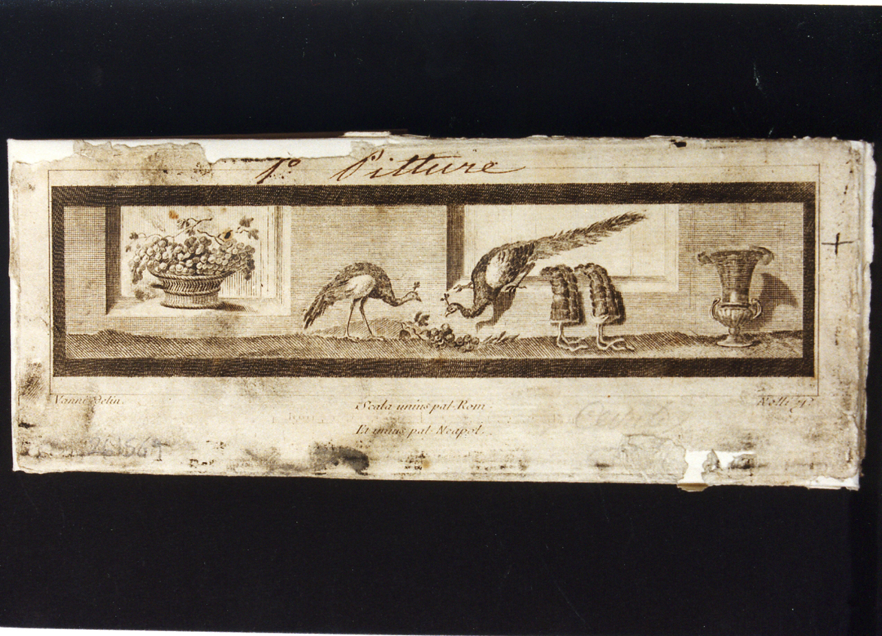 finta architettura con pavoni, vaso e cesto d'uva (stampa controfondata) di Vanni Nicola, Nolli Carlo (sec. XVIII)