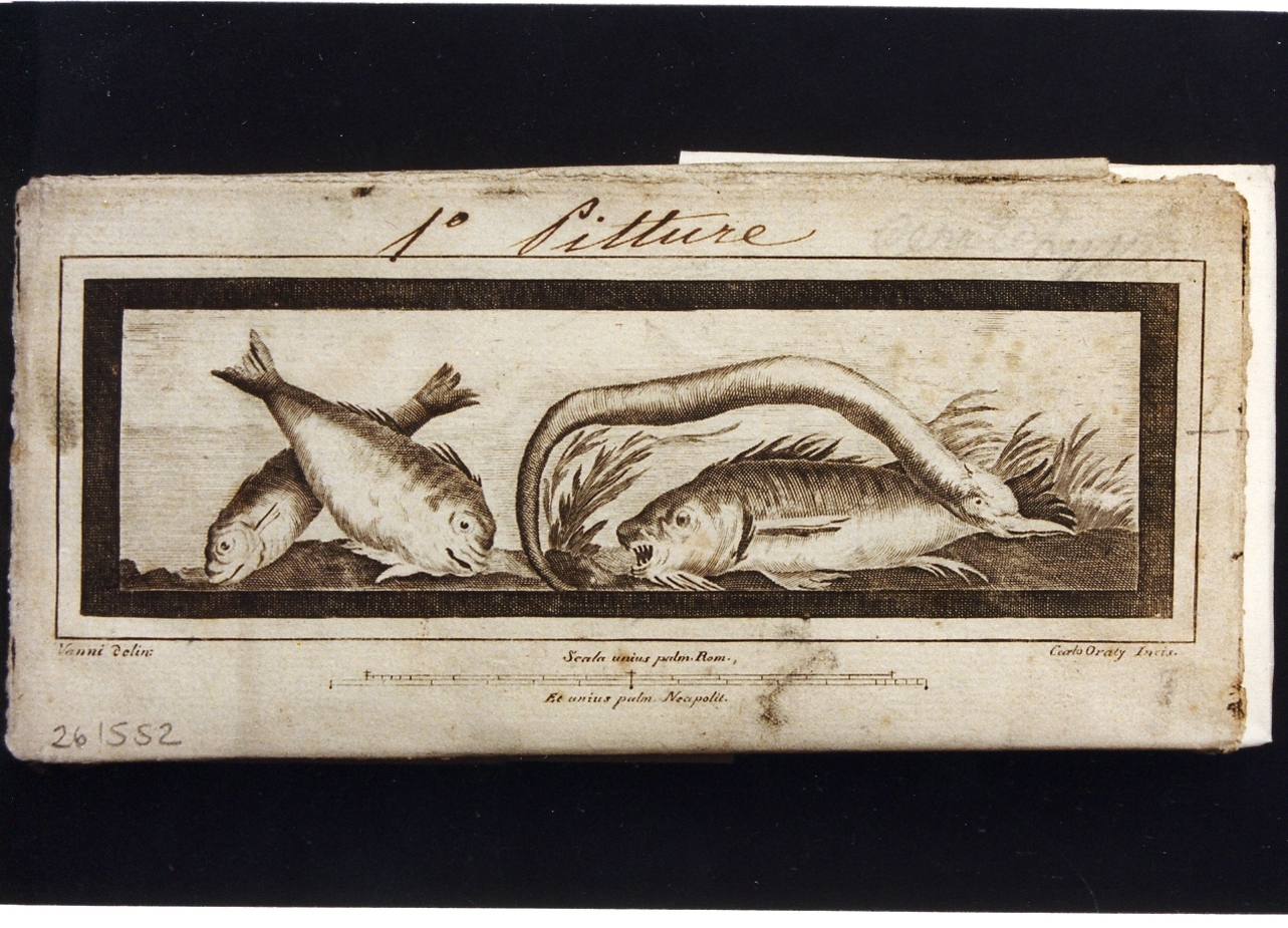 pesci (stampa) di Vanni Nicola, Orazi Carlo (sec. XVIII)