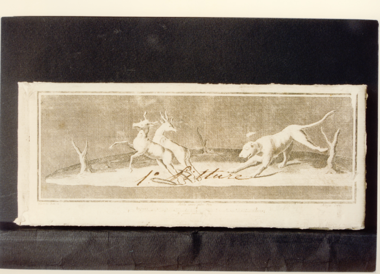 scena di caccia (stampa controfondata) di Aloja Luigi, Vanni Nicola (sec. XVIII)