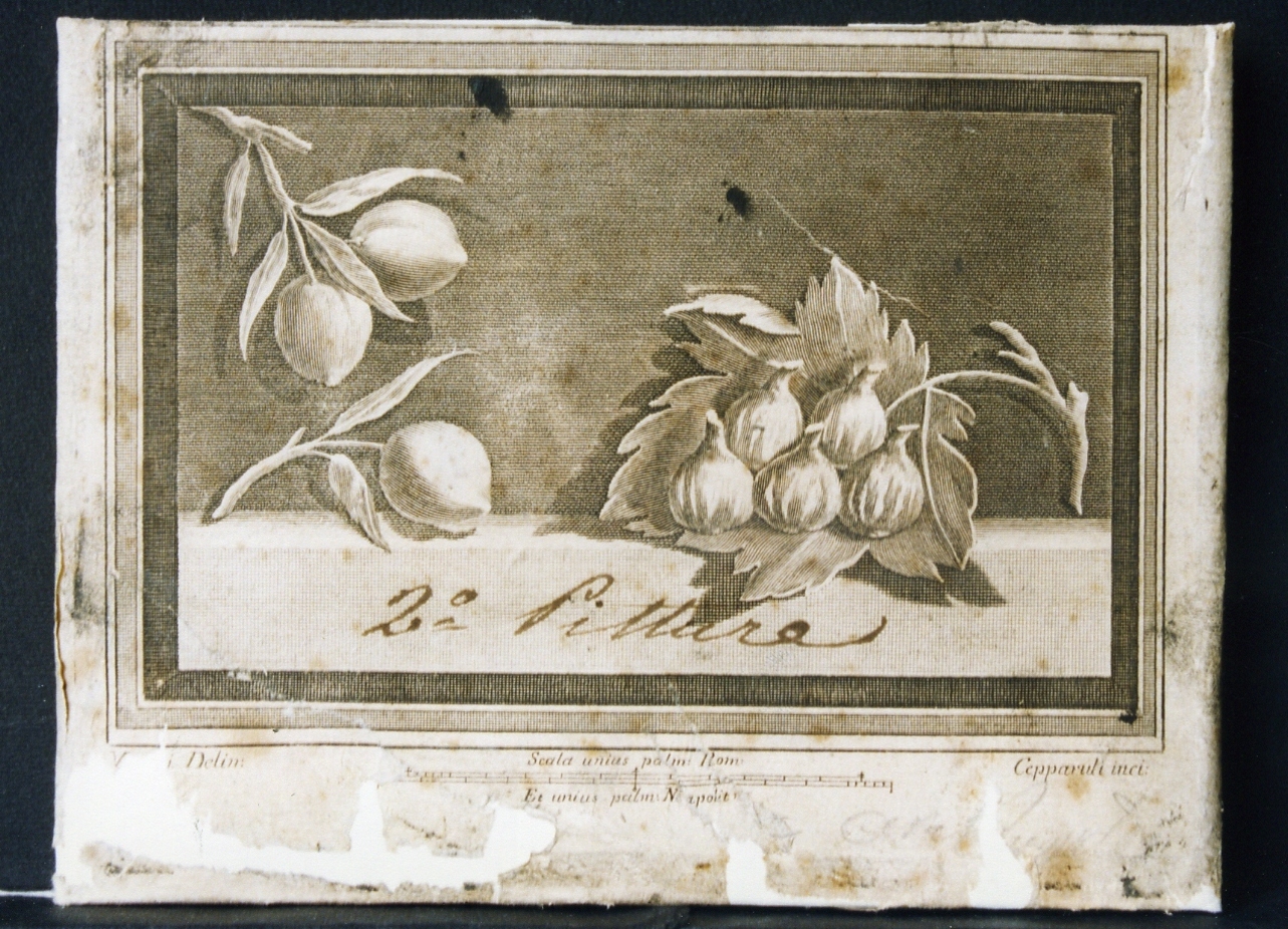 natura morta con fichi e limoni (stampa controfondata) di Vanni Nicola, Cepparoli Francesco (sec. XVIII)