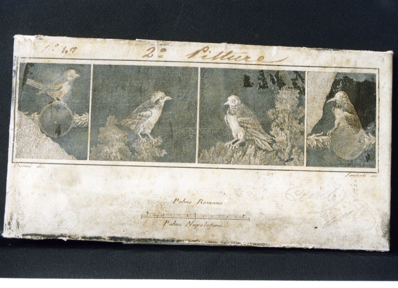 quattro pannelli con uccelli (stampa controfondata) di Lamberti Antonio, Vanni Nicola (seconda metà sec. XVIII)
