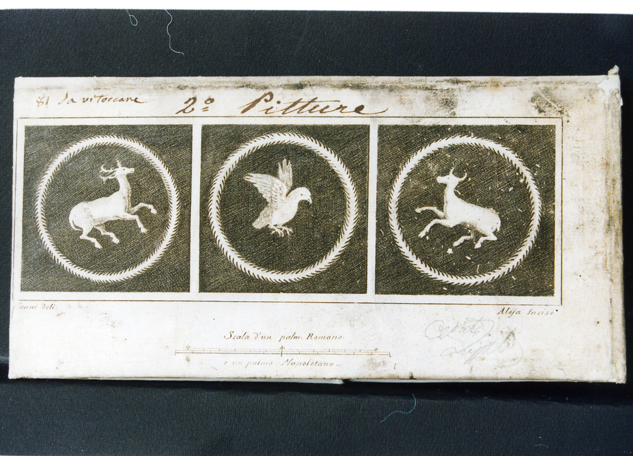 tre motivi decorativi con ghirlande ed animali (stampa controfondata) di Alloja Giuseppe, Vanni Nicola (sec. XVIII)