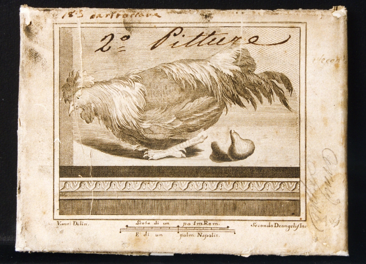 motivo decorativo con gallina e pera (stampa controfondata) di De Angelis Secondo, Vanni Nicola (sec. XVIII)