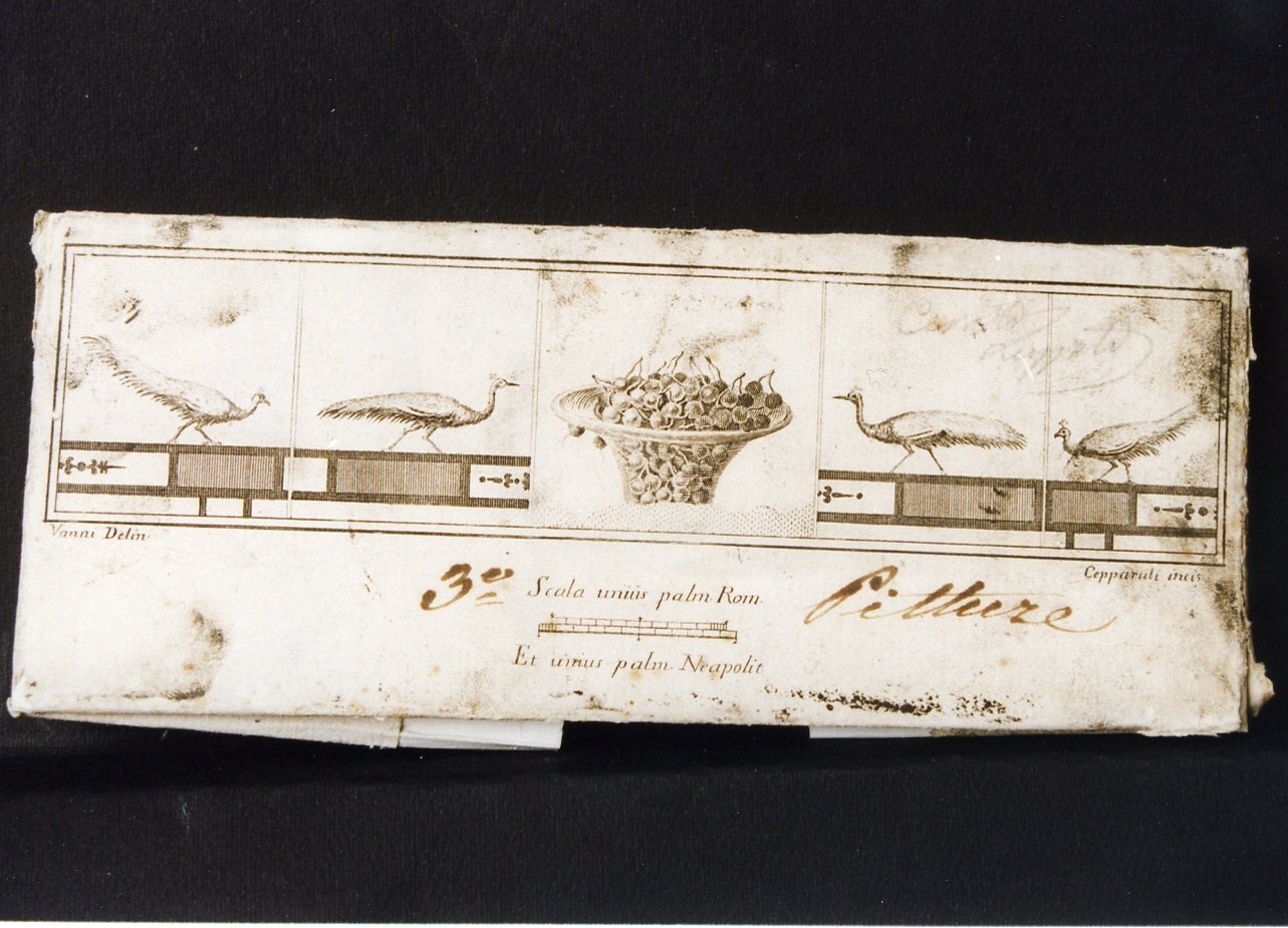 motivi decorativi con pavoni/ coppa di ciliege (stampa controfondata) di Vanni Nicola, Cepparoli Francesco (sec. XVIII)