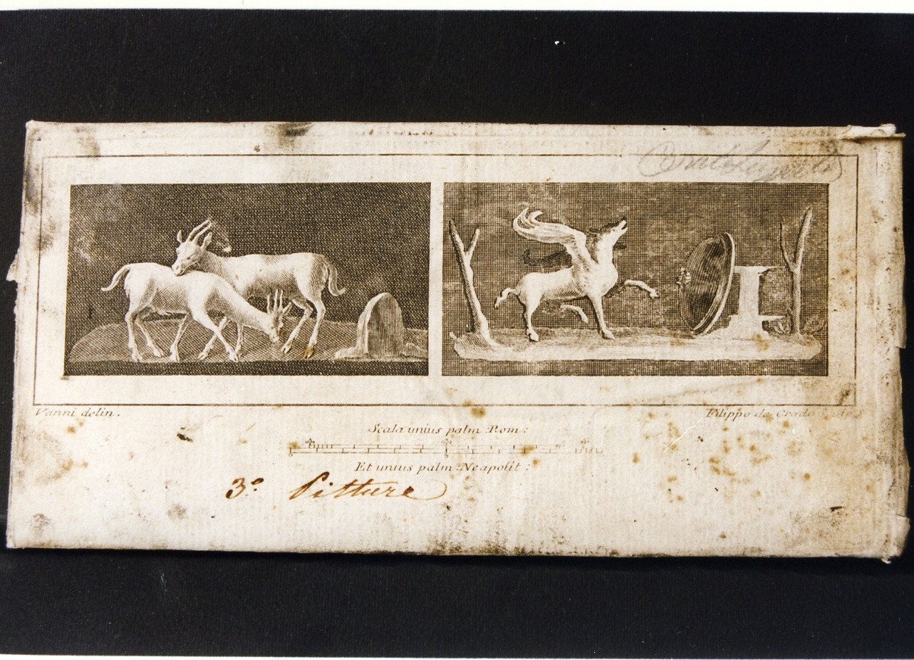 due pannelli con motivi decorativi e animali (stampa controfondata) di Vanni Nicola, De Grado Filippo (sec. XVIII)