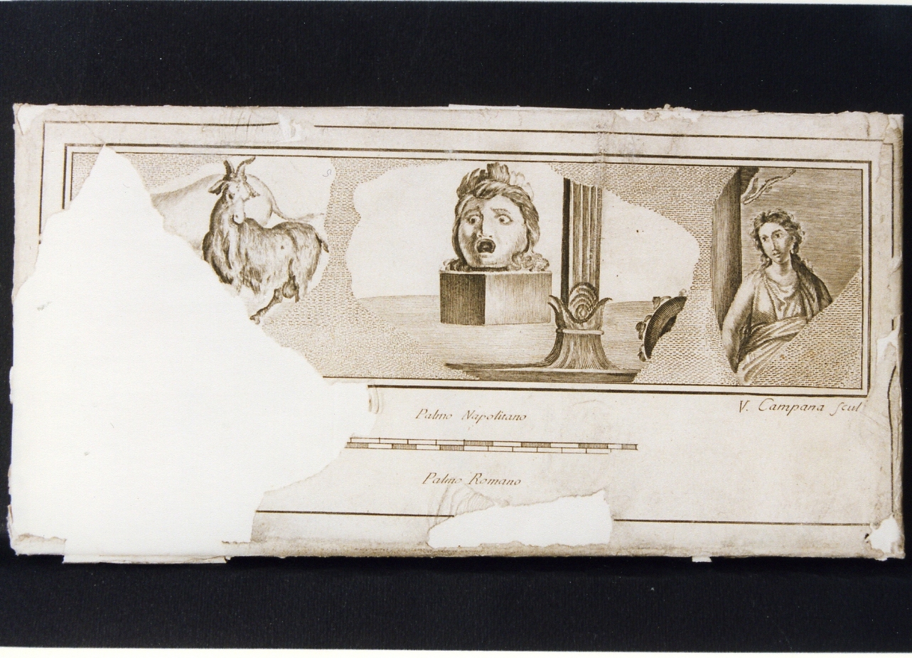 capra ed asino, maschera e figura femminile (stampa controfondata) di Campana Vincenzo, Morghen Giovanni Elia (sec. XVIII)