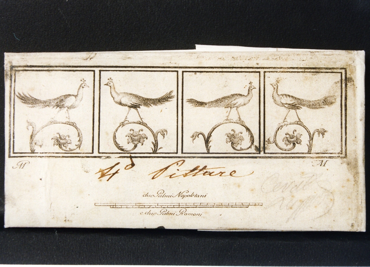 motivi decorativi con pavoni su girale (stampa controfondata) di Morghen Giovanni Elia, Morghen Filippo (sec. XVIII)