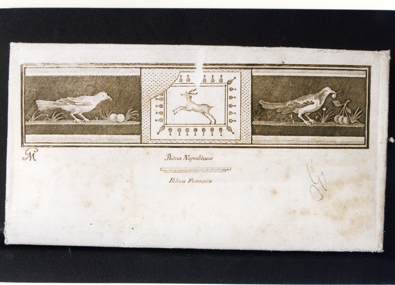 motivi decorativi con uccelli e cervo (stampa) di Morghen Giovanni Elia (sec. XVIII)