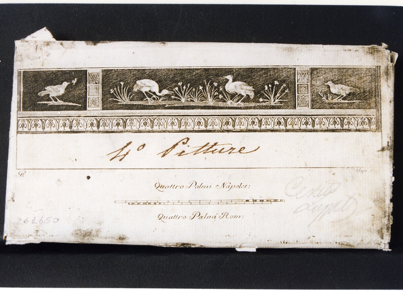 motivo decorativo con uccelli (stampa controfondata) di Morghen Giovanni Elia, Alloja Giuseppe (sec. XVIII)