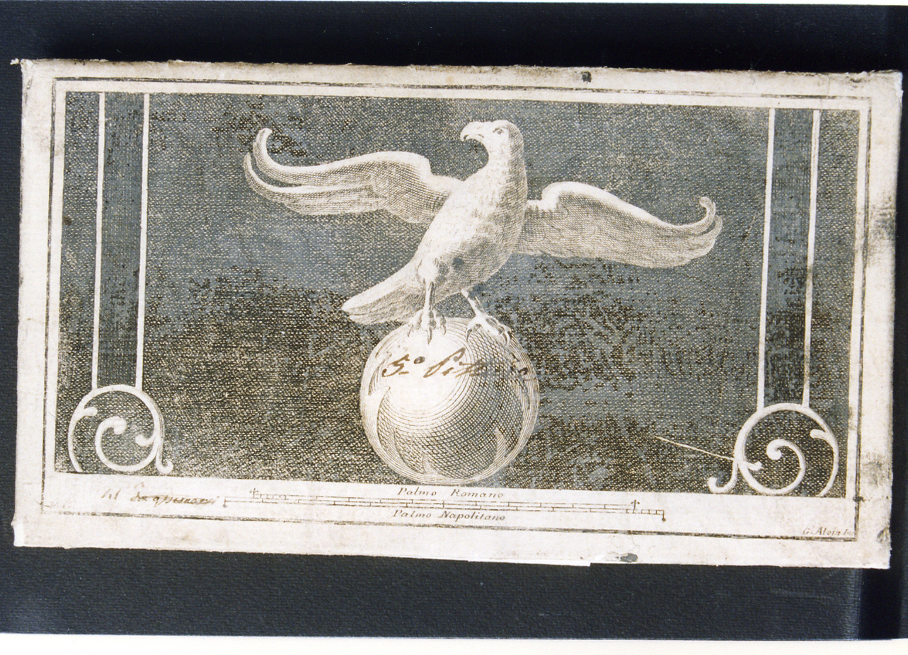 motivo decorativo con rapace su globo (stampa controfondata) di Alloja Giuseppe, Campana Vincenzo (sec. XVIII)
