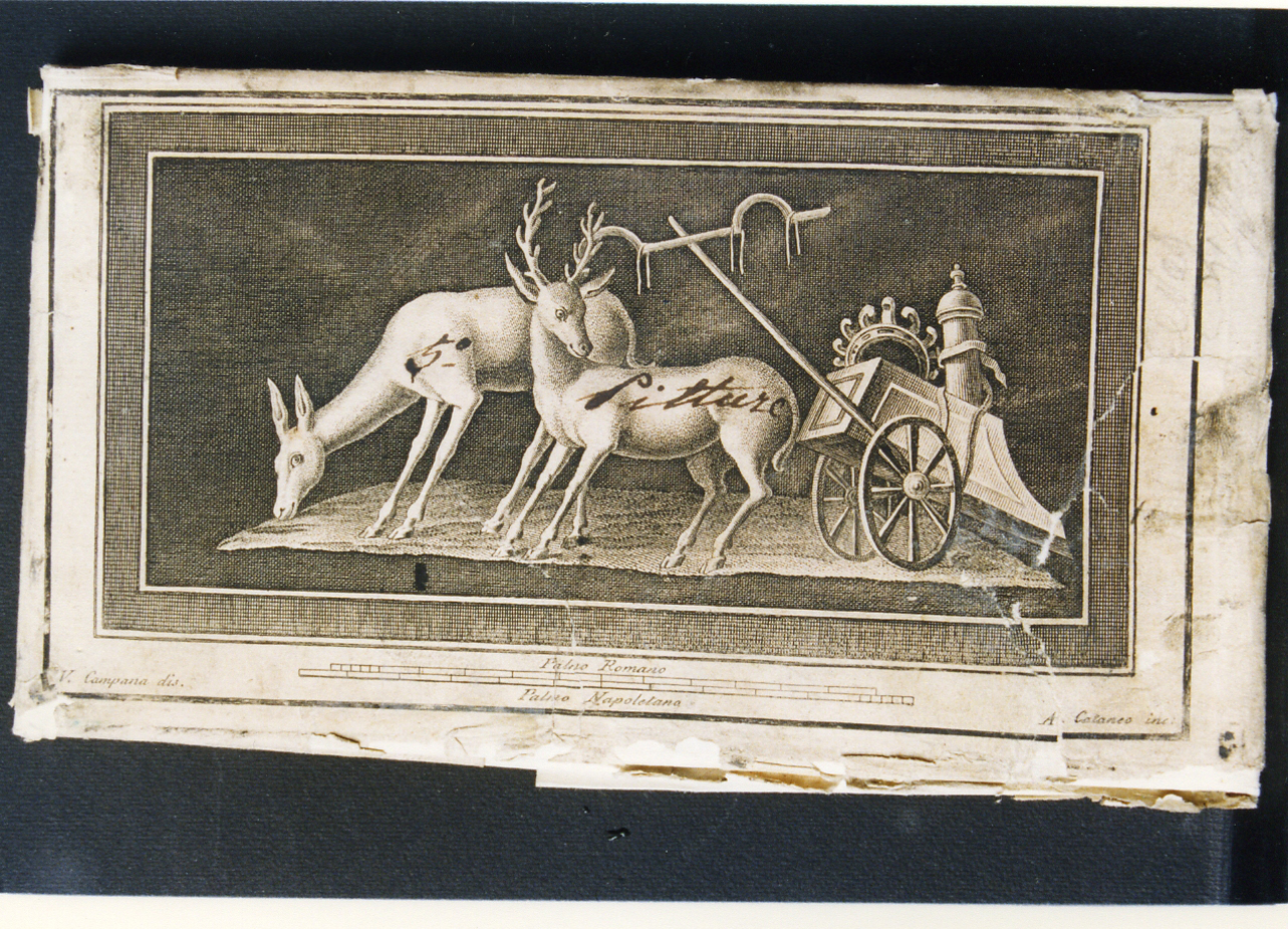 cervi e biga (stampa controfondata) di Campana Vincenzo, Cataneo Aniello (sec. XVIII)