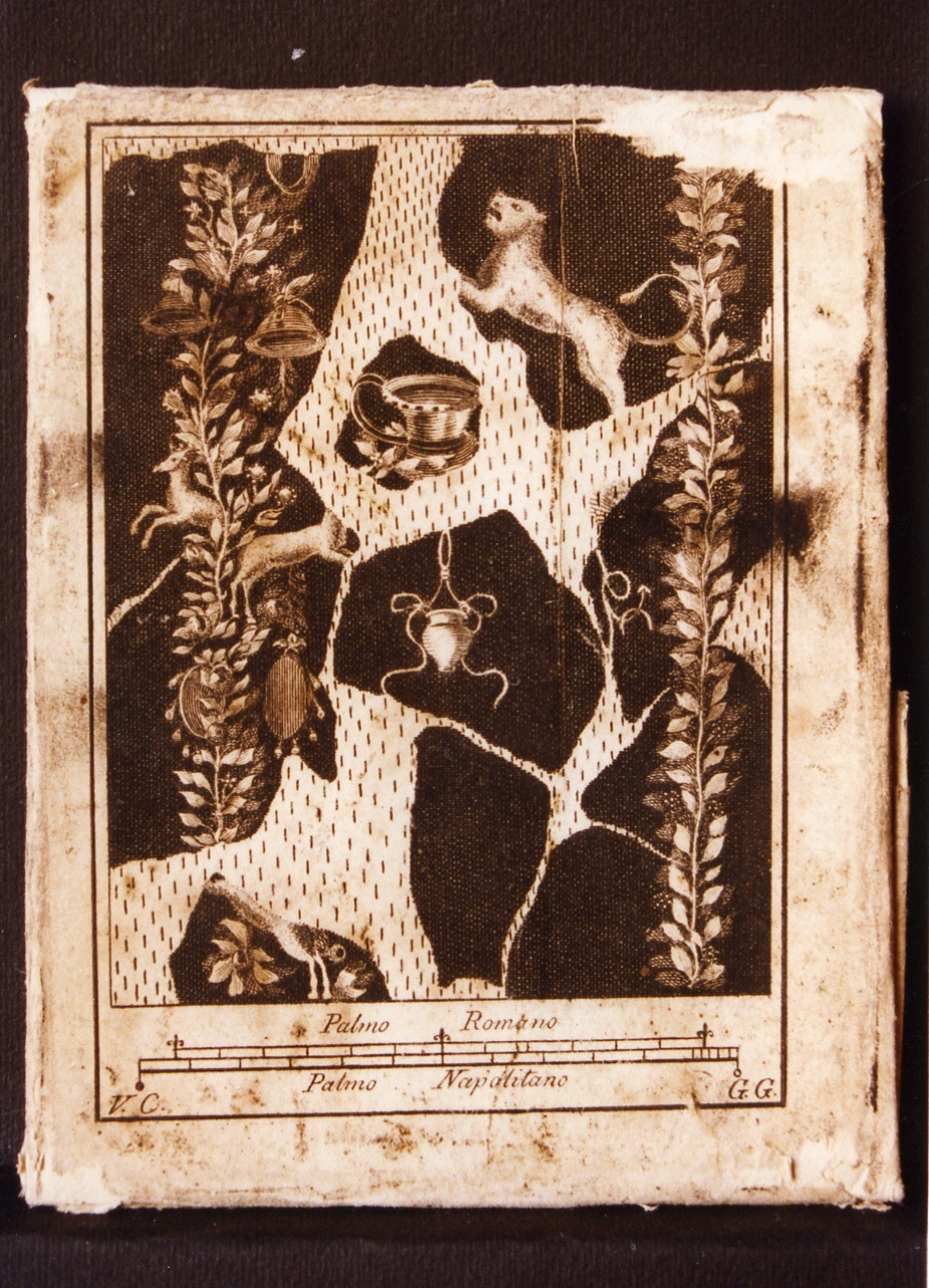 motivi decorativi vegetali e belva (stampa controfondata) di Campana Vincenzo, Guerra Giuseppe (sec. XVIII)