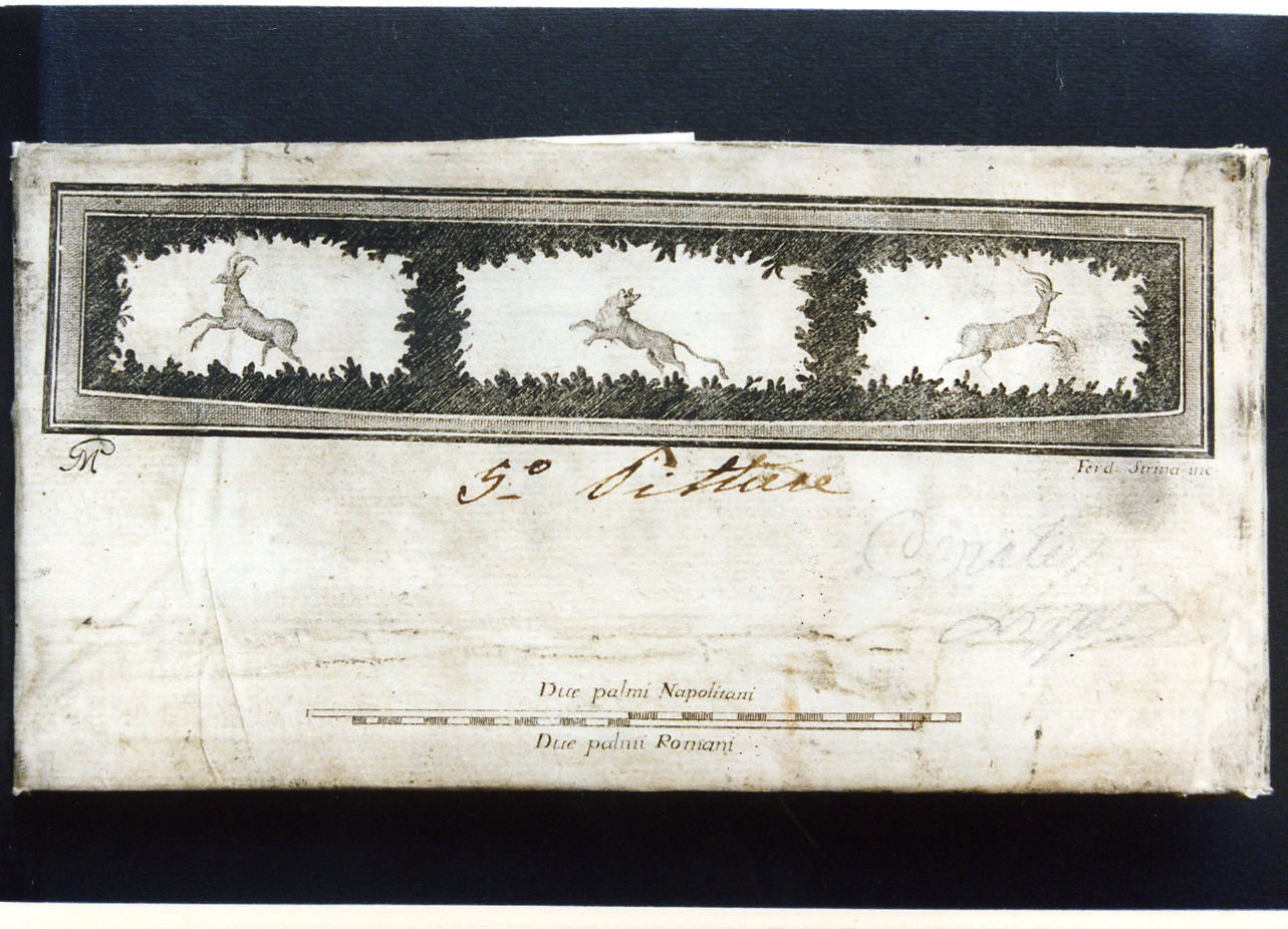 motivo decorativo con animali (stampa controfondata) di Strina Ferdinando, Morghen Giovanni Elia (sec. XVIII)