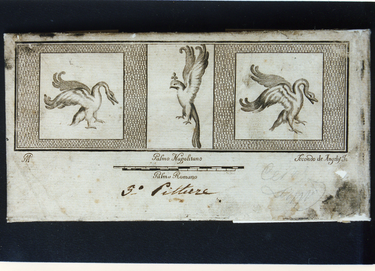 pannello decorativo a riquadri con uccelli (stampa controfondata) di Morghen Giovanni Elia, De Angelis Secondo (sec. XVIII)
