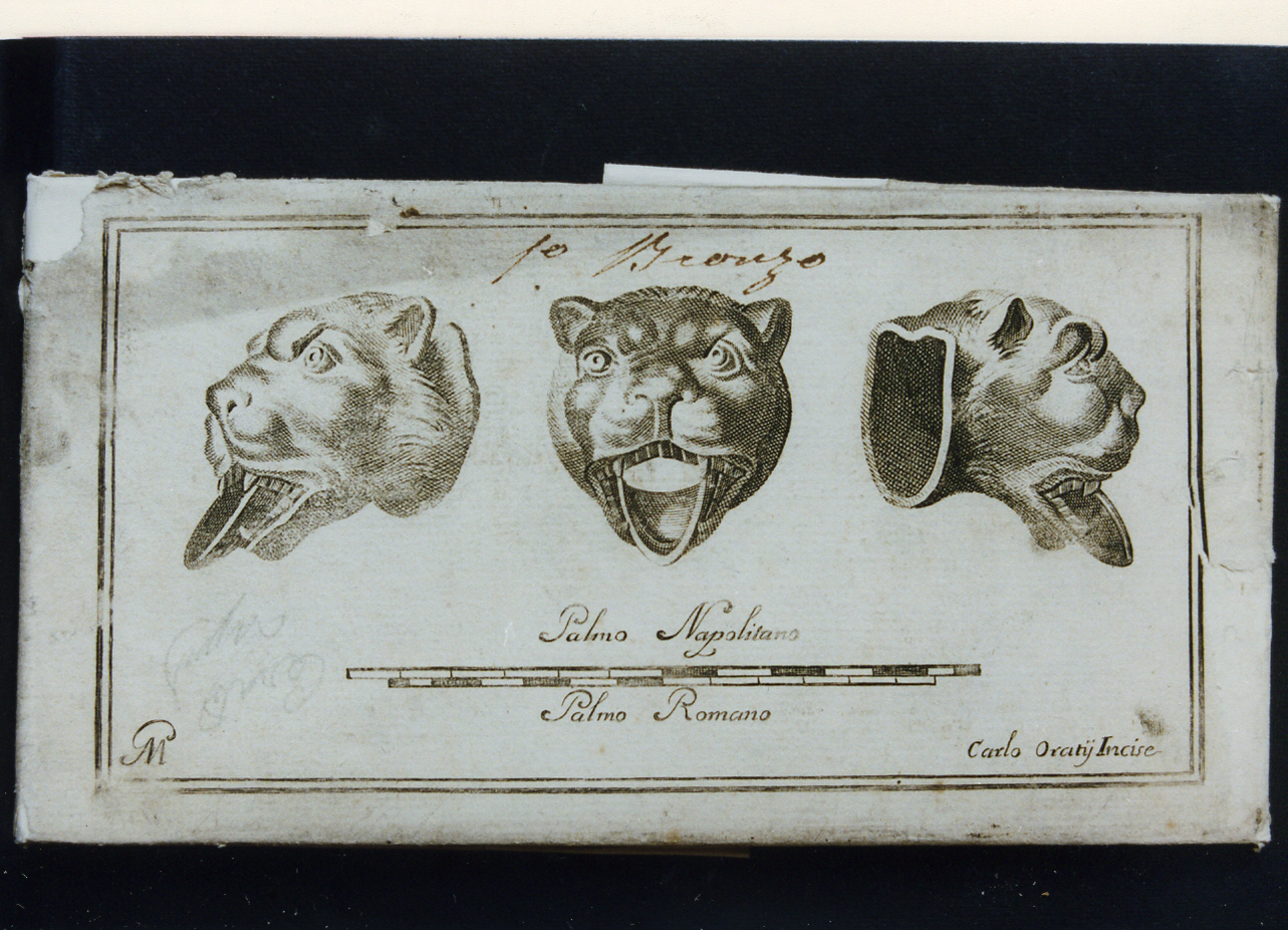gocciolati a protome di tigre in bronzo (stampa controfondata) di Orazi Carlo, Morghen Giovanni Elia (sec. XVIII)