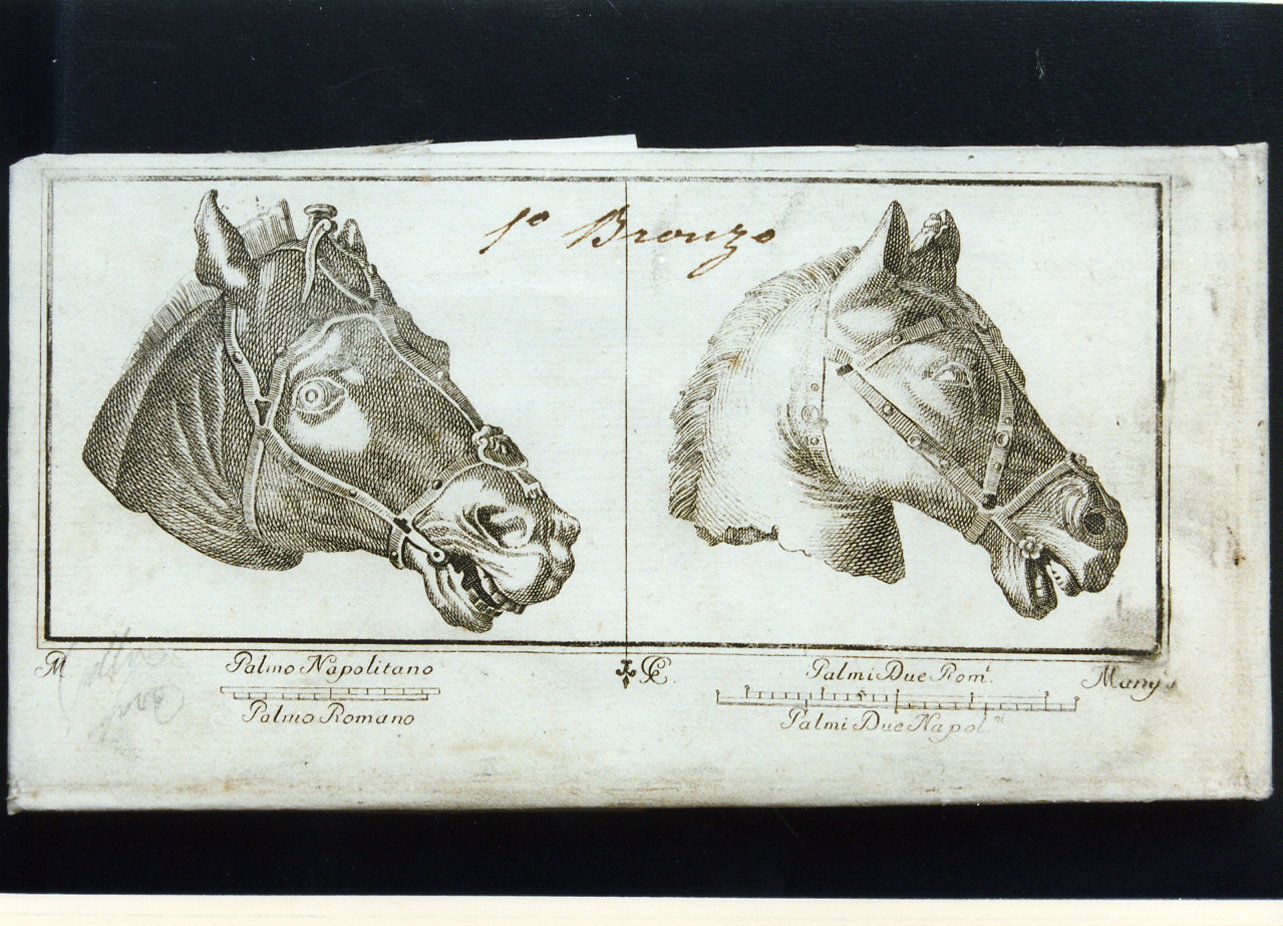 due teste di cavallo in bronzo (stampa controfondata) di Mangini Lorenzo, Morghen Giovanni Elia (sec. XVIII)
